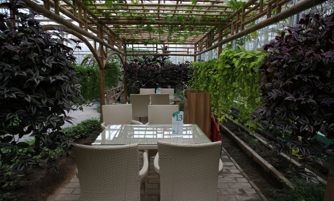 呼和浩特康柏宇品牌文案撰写案例